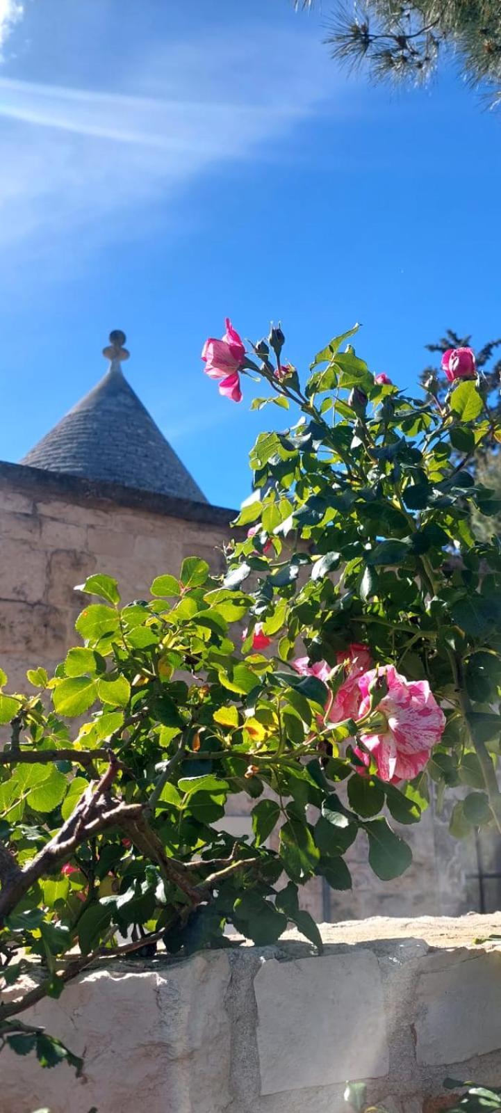 Villa Il Trullo Delle Rose, Monopoli By Il Pumo Di Puglia Cozzana Exterior foto